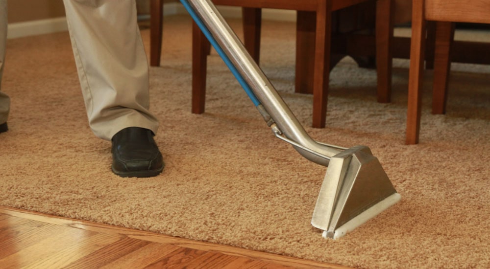 Hire A Professional Carpet Cleaner